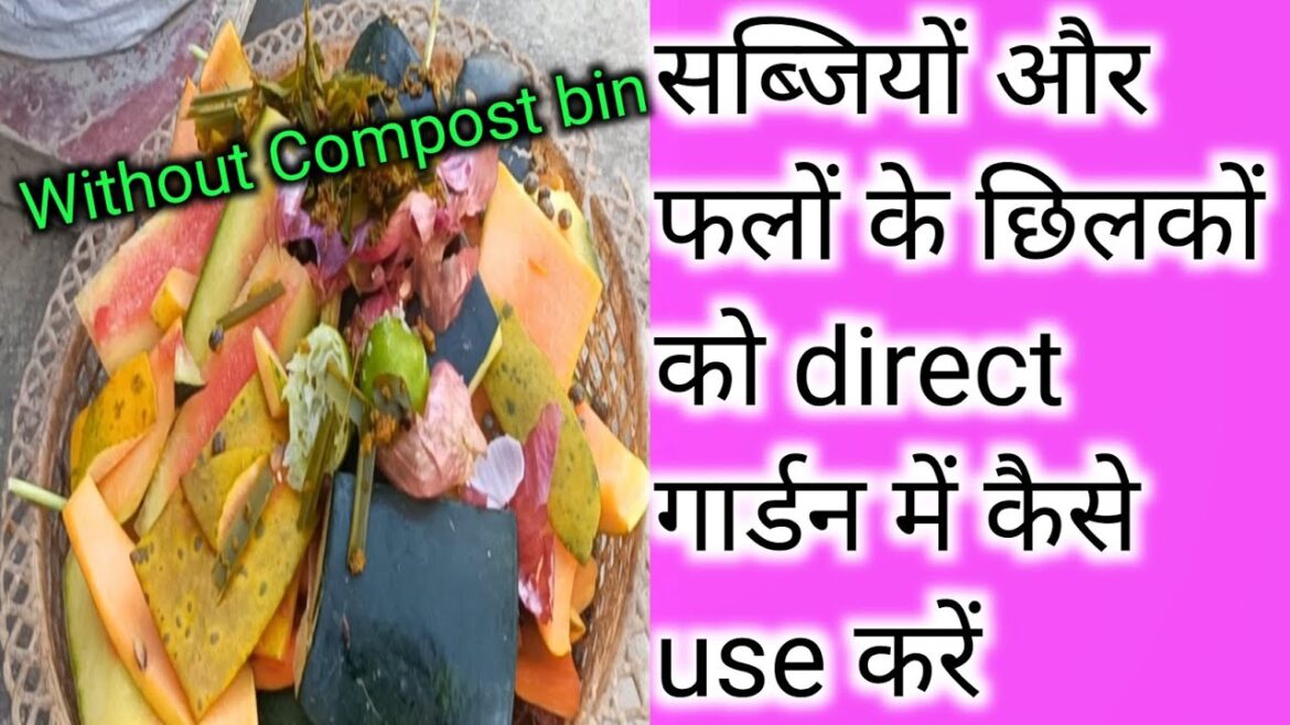 howto utilise fresh vegetable fruit peels direct to the garden/किचनwaste सीधे गार्डन में कैसेuseकरें