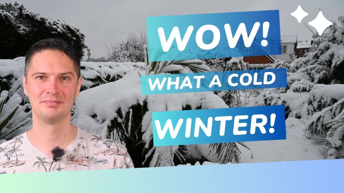 Wow what a cold winter Wow what a cold winter