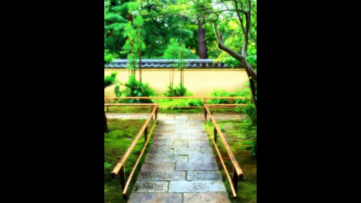 【Japanese Landscape】#shorts #Japan #Landscape #nostalgia #shrine