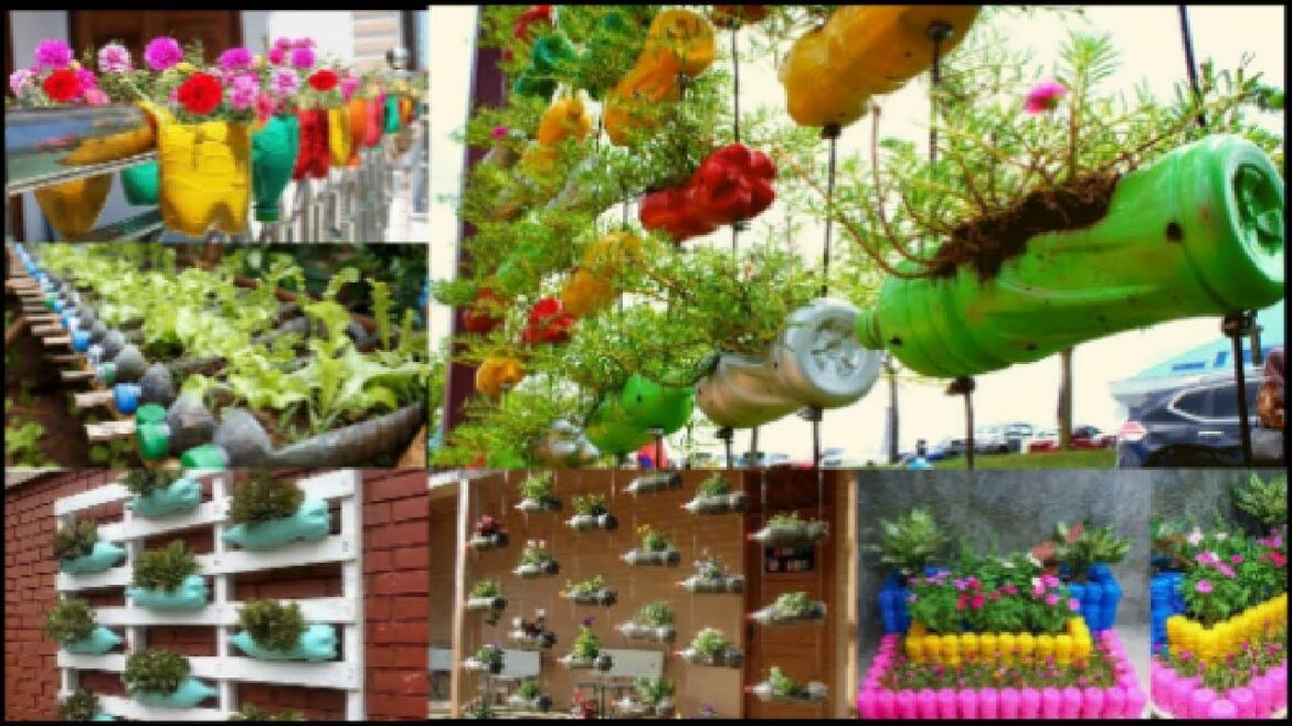 Plastic Bottle Garden Design/ DIY Reuse Idea Plastic Bottle Garden Design/ DIY Reuse Idea