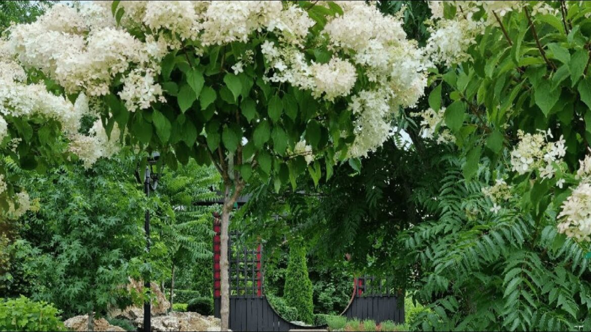 Garden ideas. From Dull to Stunning: Simple Garden Landscaping Ideas to Improve Your Curb Appeal.