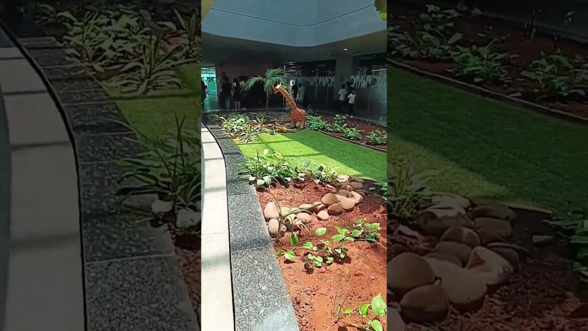 indoor garden design, plant, gardening