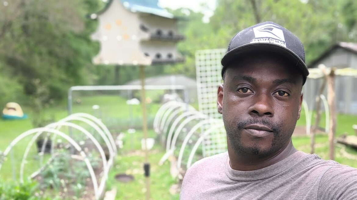 Weekly Garden Update Week 3|Growth Vs Nature