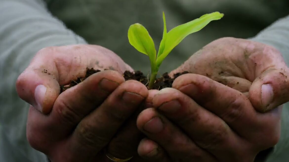 Healing Power of Nature: Stress Relief Music,Meditation in Nature Can Improve your Life.Relaxing
