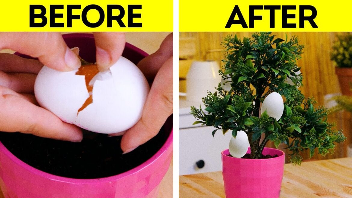 GARDENING TIPS AND TRICKS EVERYONE WANTS TO KNOW GARDENING TIPS AND TRICKS EVERYONE WANTS TO KNOW