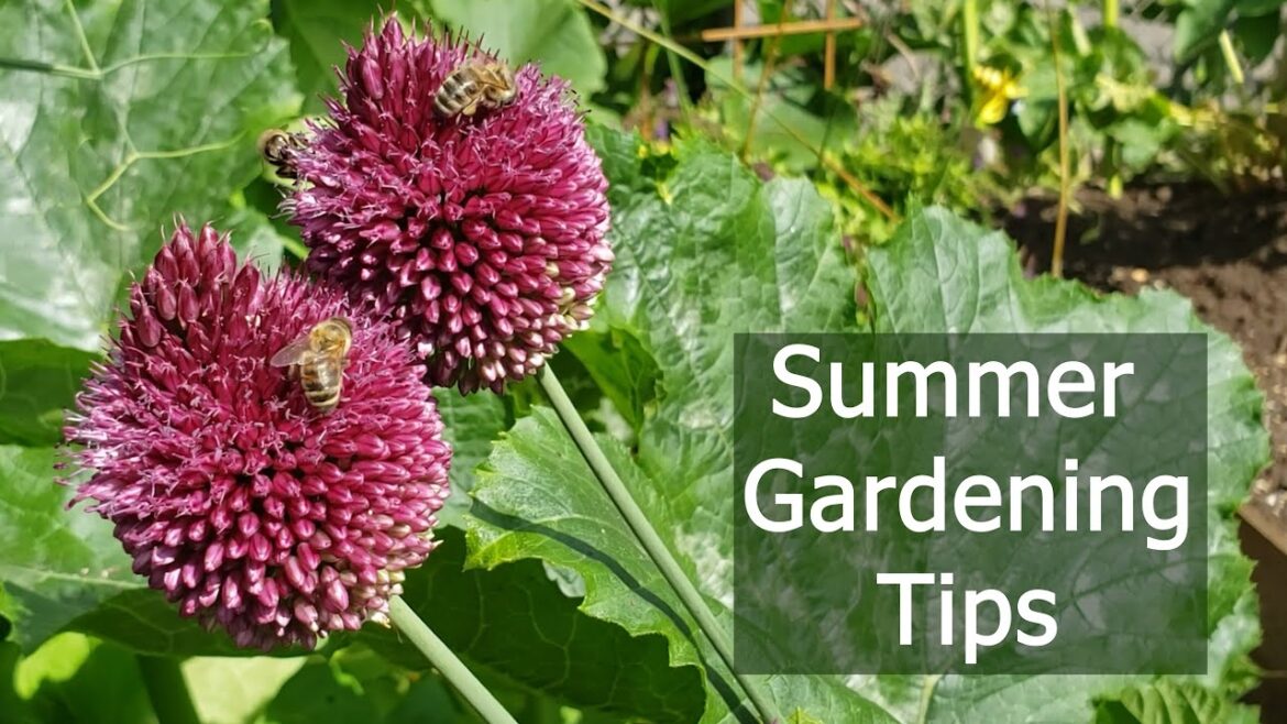 Summer Gardening Tips: Watering, Weed Management, and Pest Control from a UBC Horticulturist Summer Gardening Tips: Watering, Weed Management, and Pest Control from a UBC Horticulturist