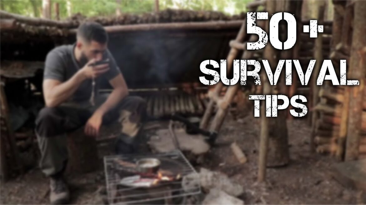 Survive the Wild: 50+ Survival Tips & Bushcraft Skills