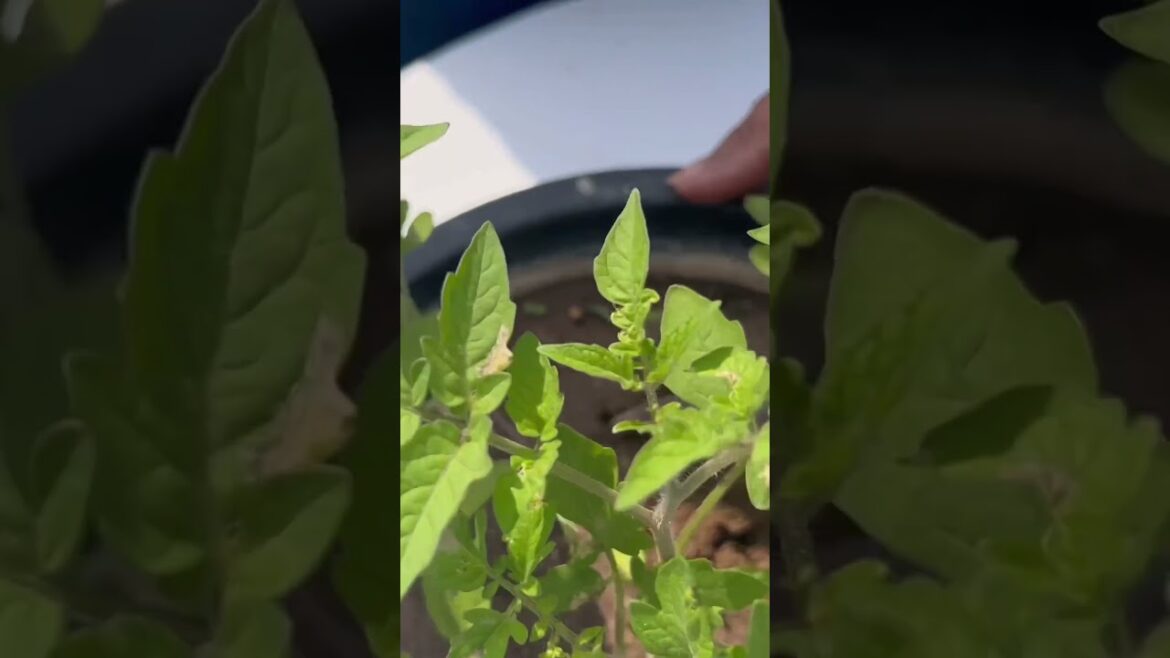 बहुत आराम से हो जाता है यह काम