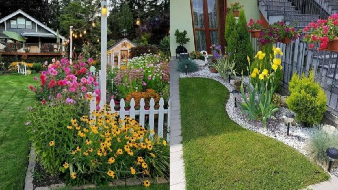 Most beautiful flower garden ideas|Spring flowers garden| garden decore ideas