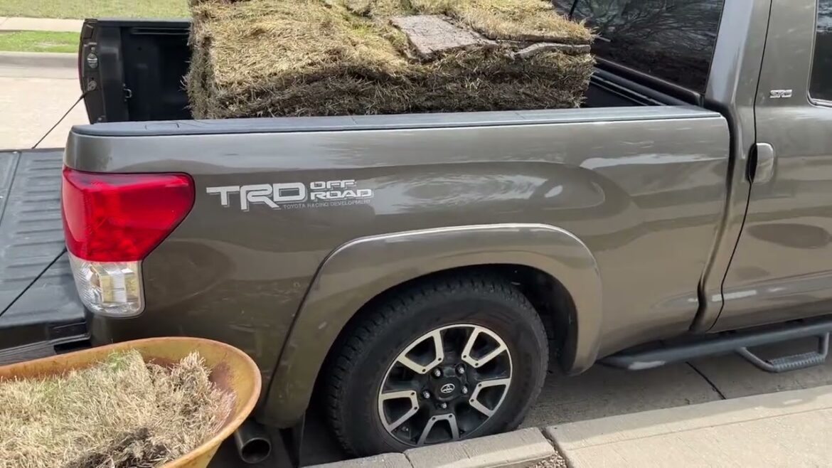 Resodding the front yard.