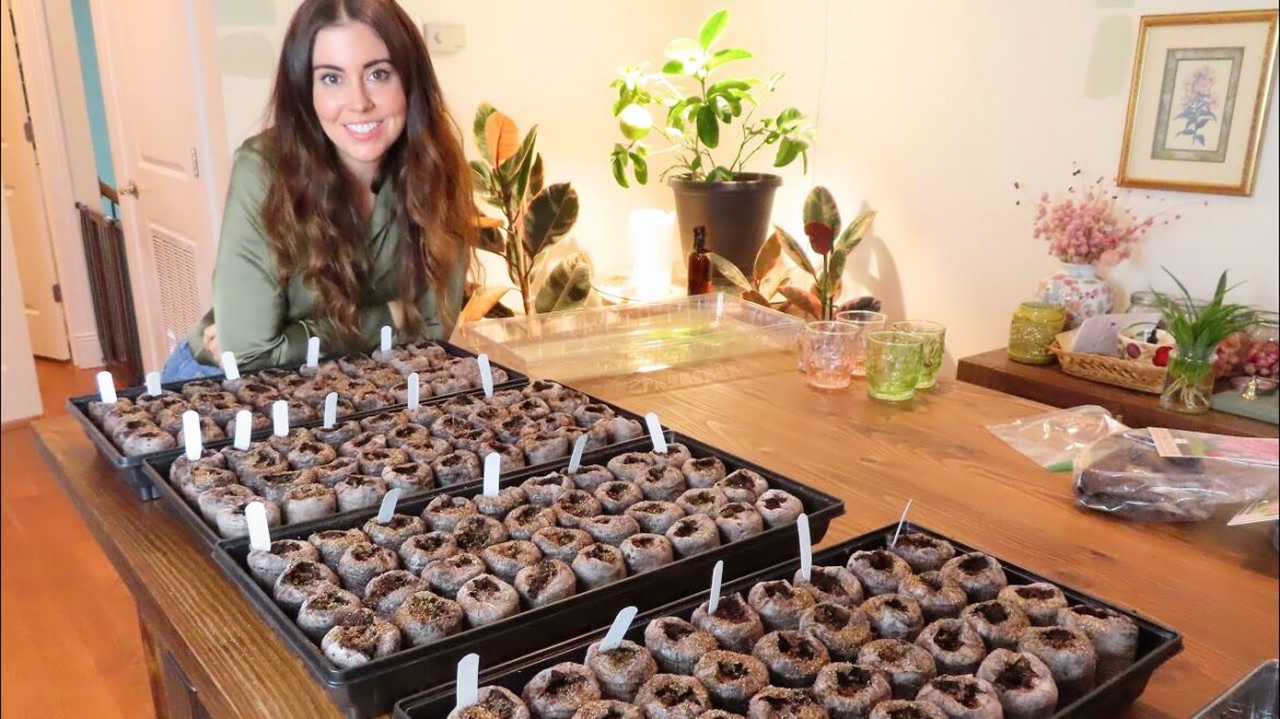 Starting My Warm Season Seeds Inside | Container Gardening