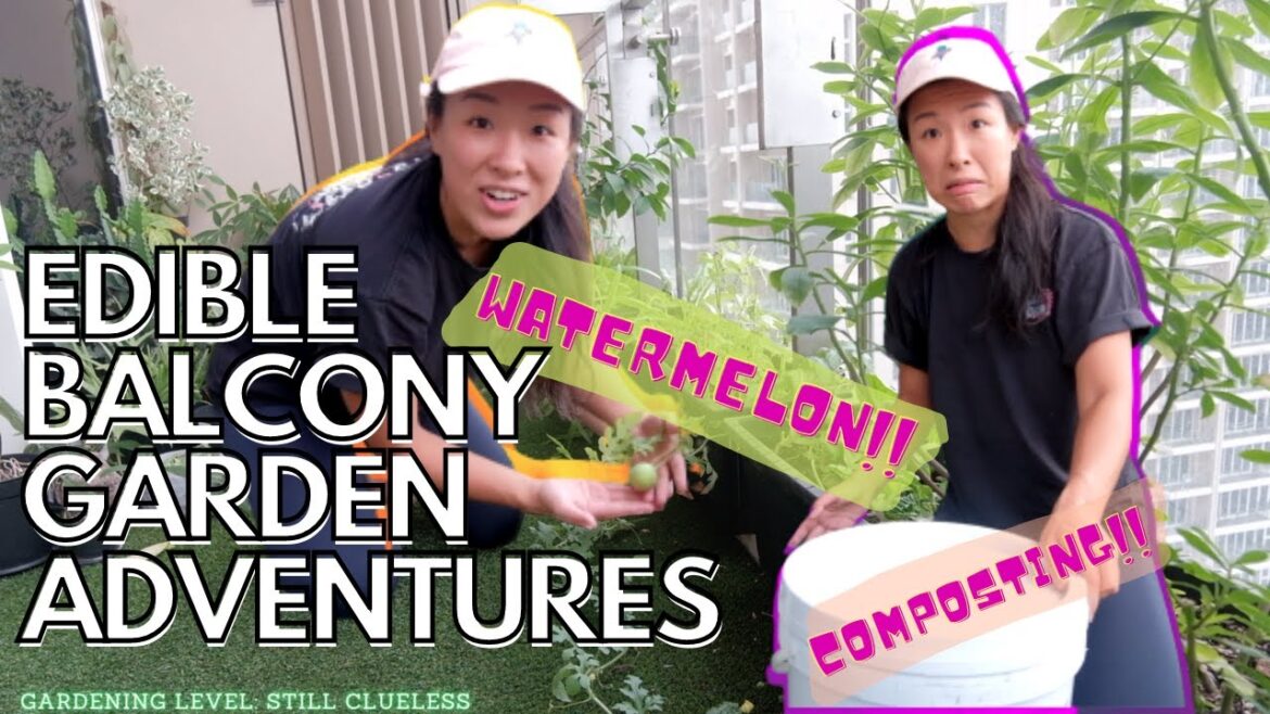 EDIBLE BALCONY GARDEN IN JAKARTA | EXCITING FINDS & CLUELESS COMPOSTING EDIBLE BALCONY GARDEN IN JAKARTA | EXCITING FINDS & CLUELESS COMPOSTING