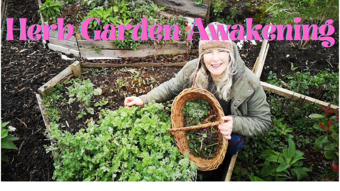 Herb Garden Awakening