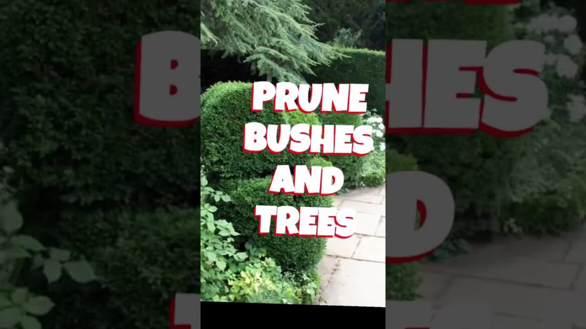 Top 5 DIY Landscaping TIPS to IMPROVE Curb Appeal #DIY #shorts #doityourself #curbappeal #landscape