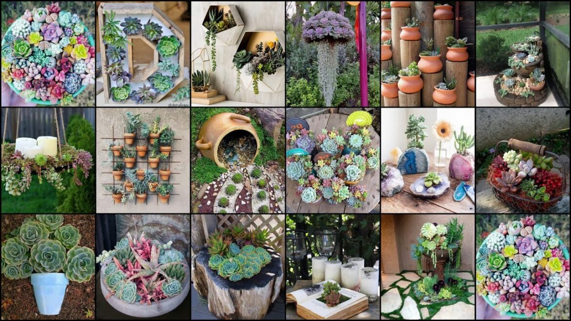 100+ Unbelievable Succulent Garden Ideas! Must See to Believe!
