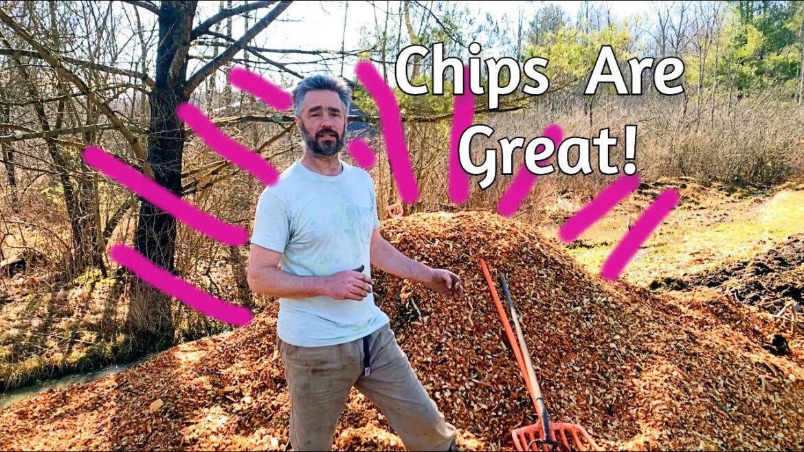 Woodchips vs.  Lawn - EASY method
