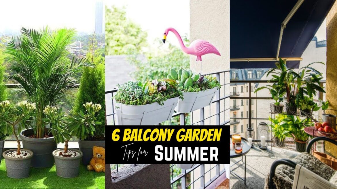 6 Balcony Garden Tips for Summer |  Tips to Care for Your Plants in Summer