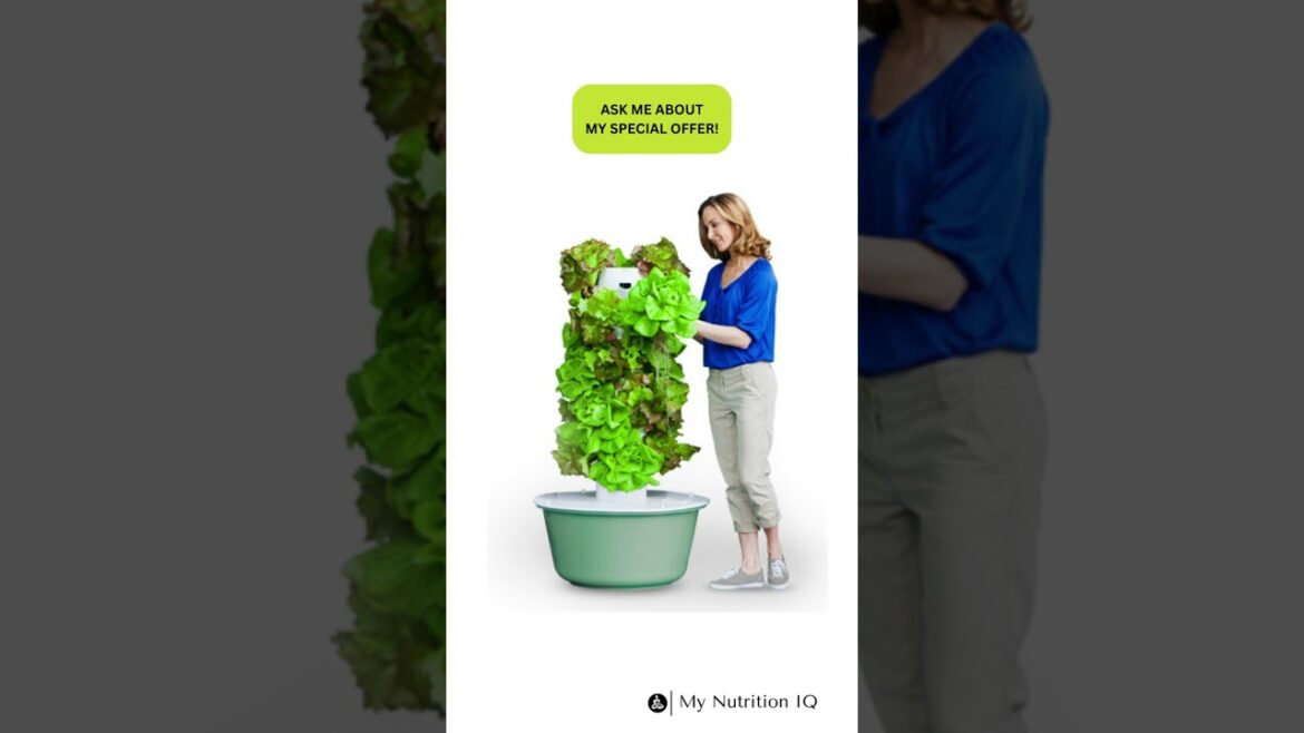 No Dig Gardener: How To Grow Super Healthy Produce with Hydroponics