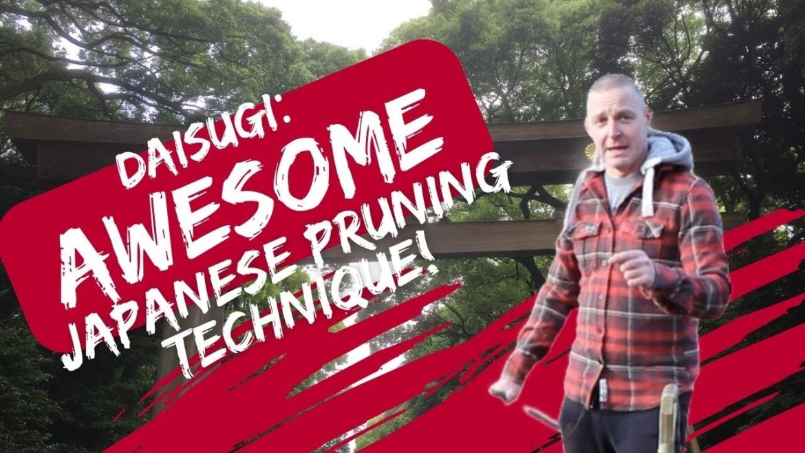 Japanese Gardening Techniques: What is Daisugi?