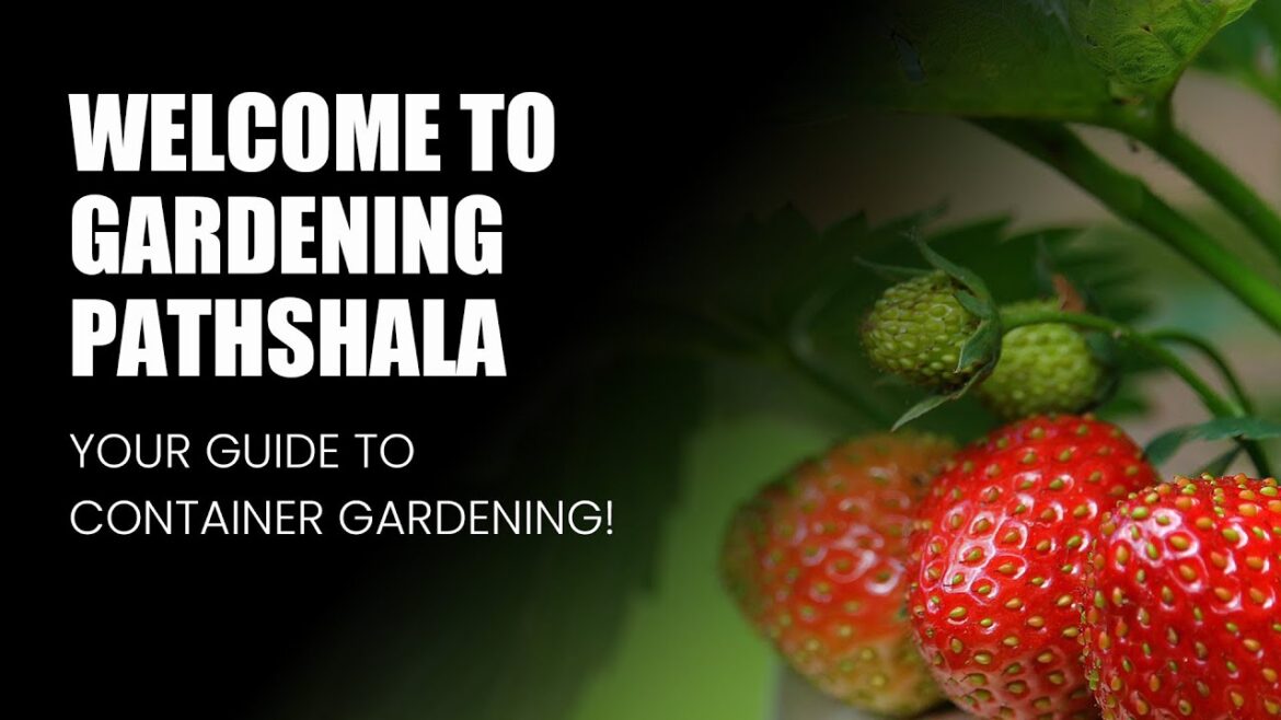 Welcome to Gardening Pathshala: Your Guide to Container Gardening