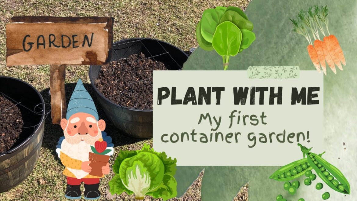 Plant With Me: My First Container Garden Plant With Me: My First Container Garden