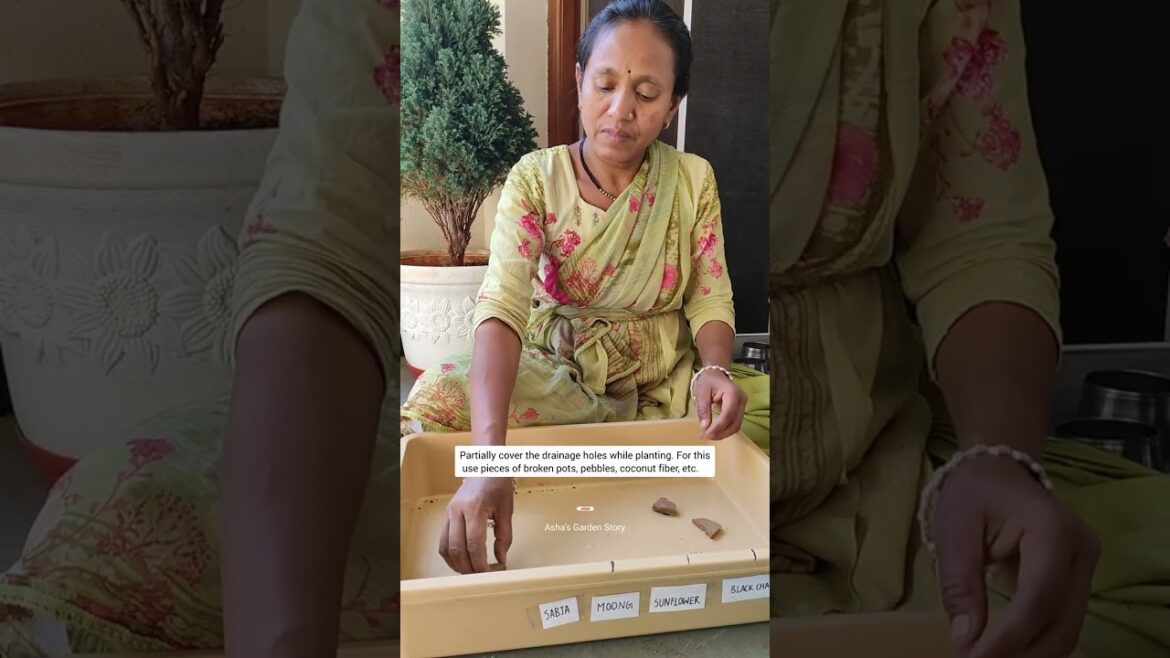 Tips For Terrace Gardening|Avoid Choking The Drainage System|छत पर बागवानी|#ashasgardenstory#shorts