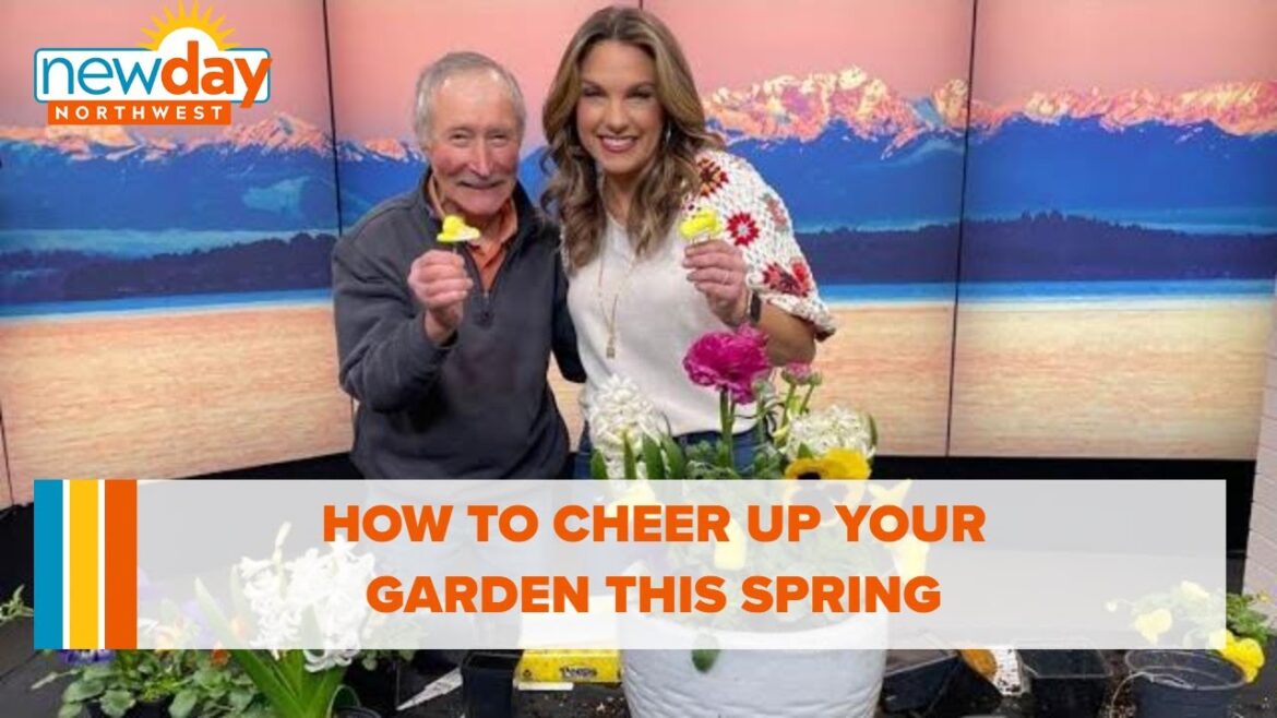 Pot an early spring container to cheer up your garden – New Day NW Pot an early spring container to cheer up your garden - New Day NW