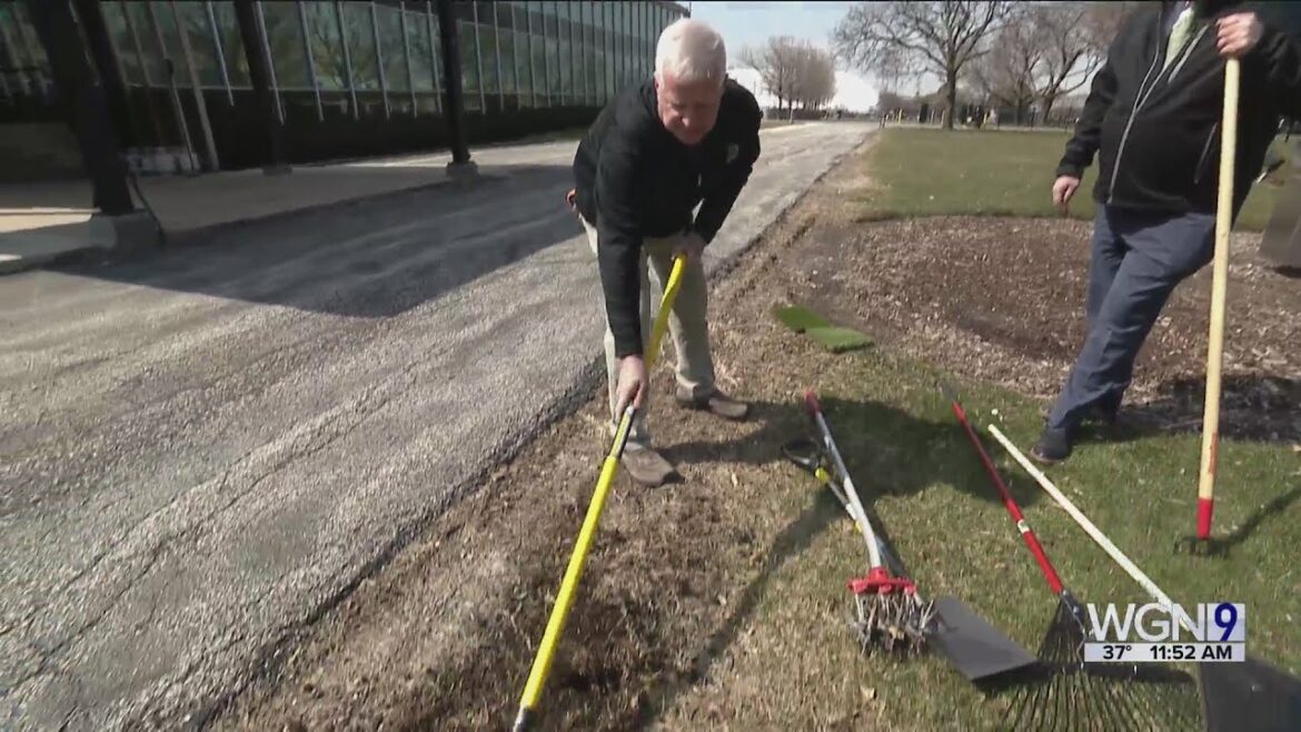The Gardener's Toolbox: Tips on what to do now to get your lawn in shape