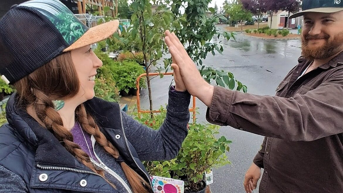 Landscaping our city yard w/ edible perennials