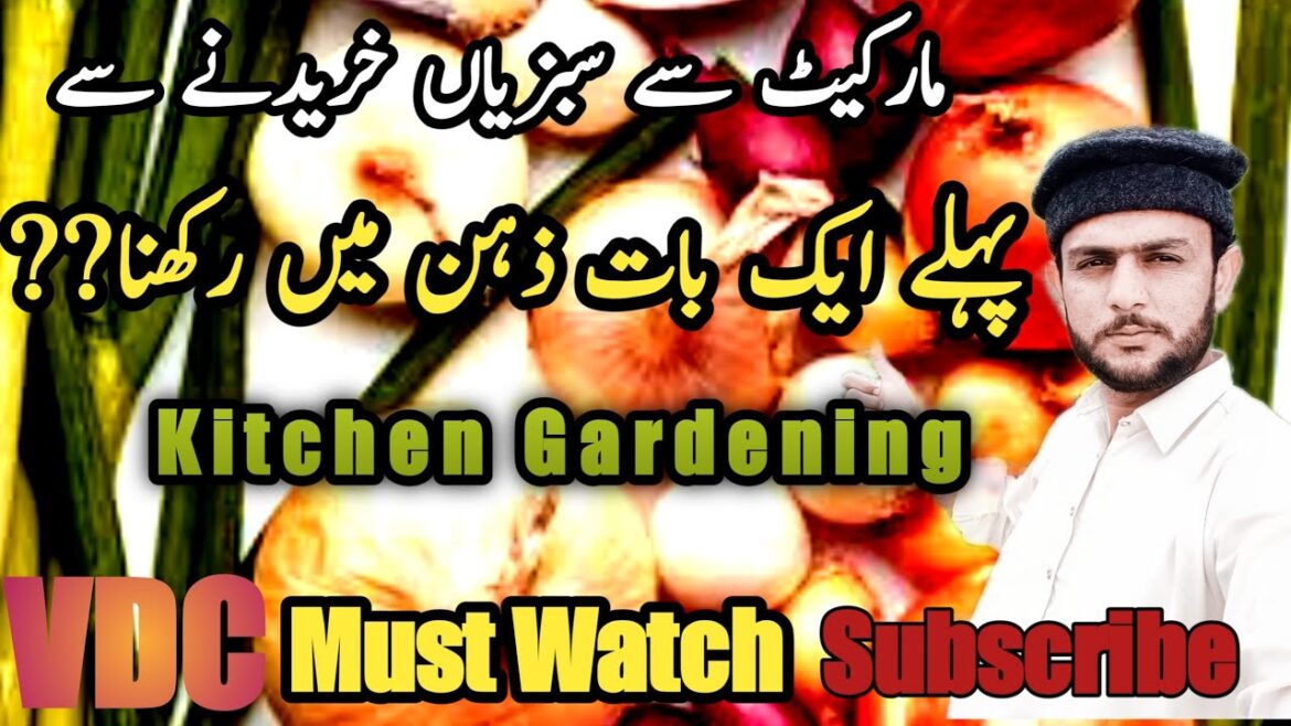 Piyaz ki Kasht | Kitchen Gardening and Vegetable Farming | Vlogs Dot Com Piyaz ki Kasht | Kitchen Gardening and Vegetable Farming | Vlogs Dot Com