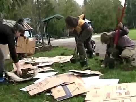 Systems of Change: Edible Forest Gardening, part 1 Systems of Change: Edible Forest Gardening, part 1