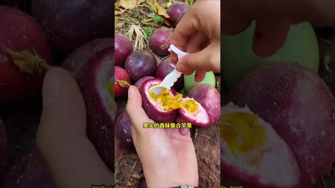 Vegetable plants 140