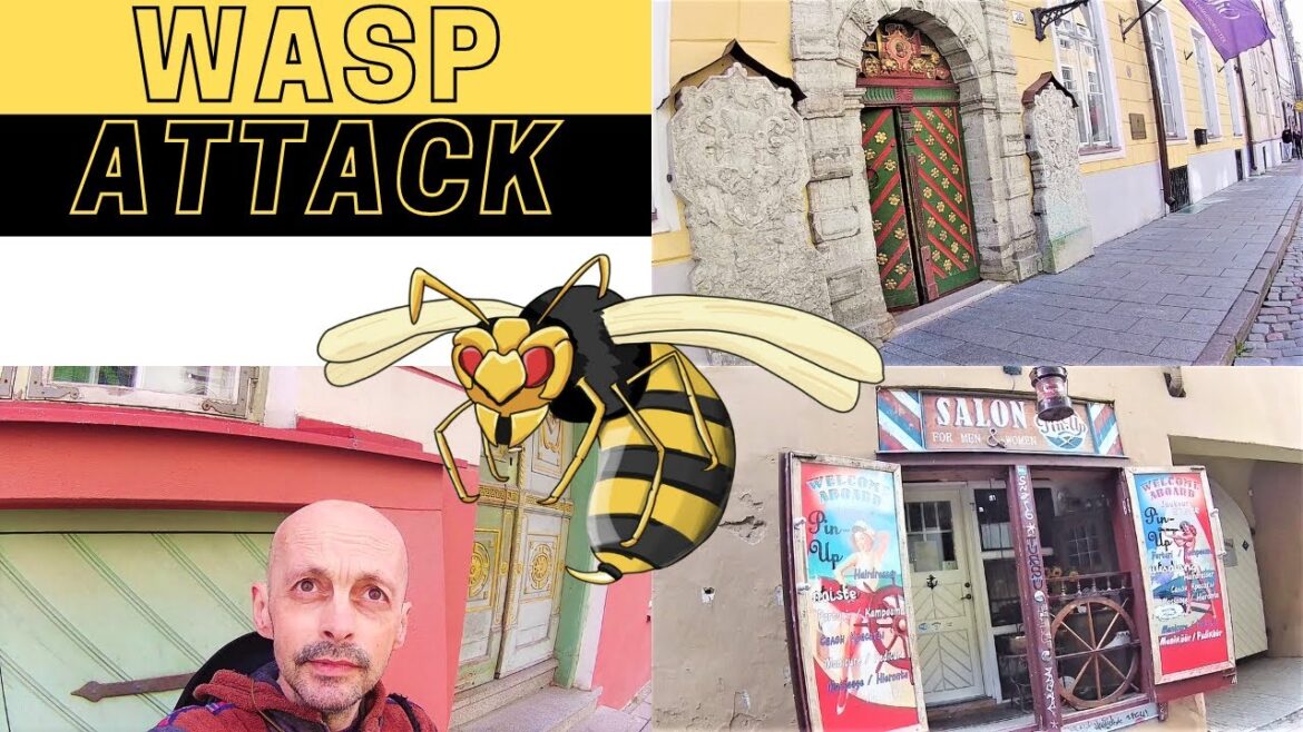 WASP ATTACK INSIDE TALLINN'S OLD TOWN, ESTONIA. DISCOVERING SOME OF THE HIDDEN HIGHLIGHTS. PART 2.