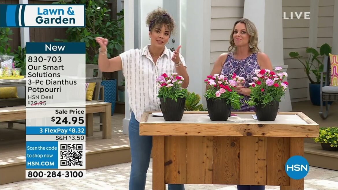 HSN | Lawn & Garden 03.29.2023 - 11 AM