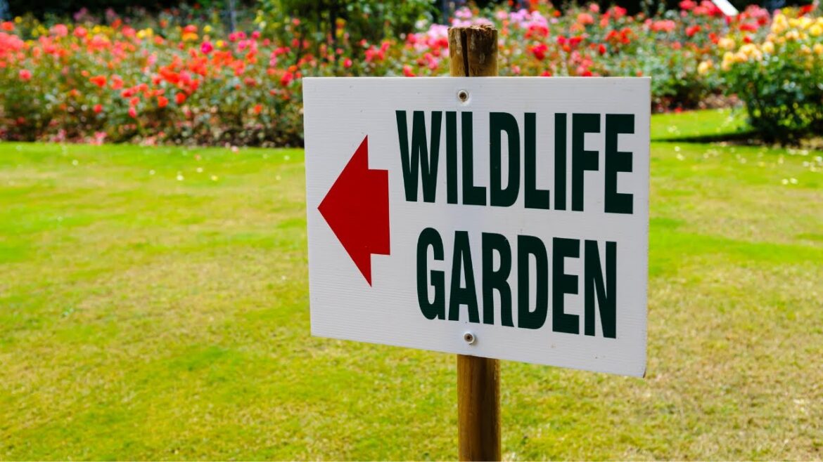 Wildlife Gardening Tips Wildlife Gardening Tips