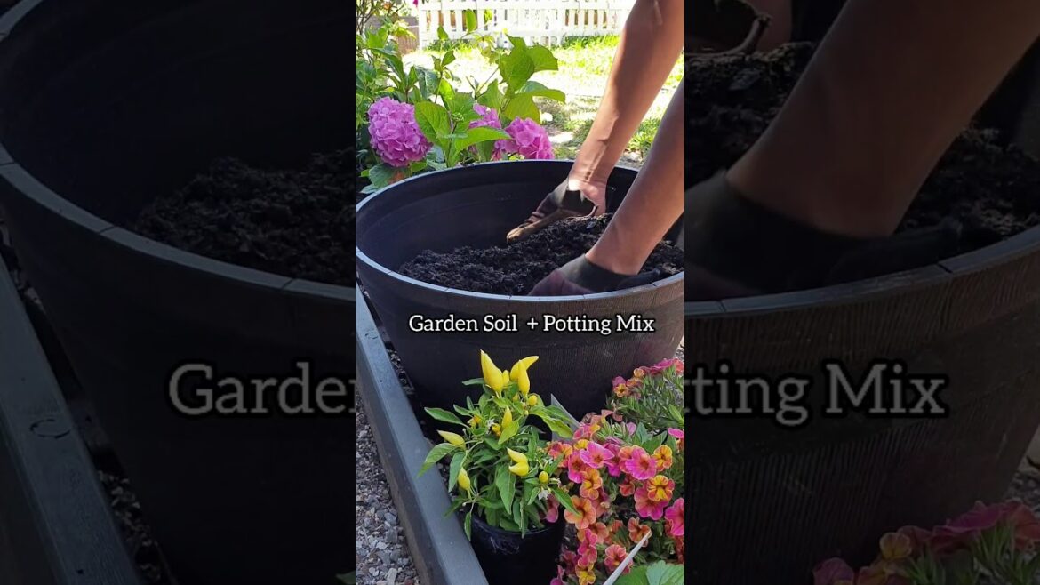 Summer Container Planting Ideas | #shorts| Eye Catching Plant Ideas with Edible & Ornamental plants