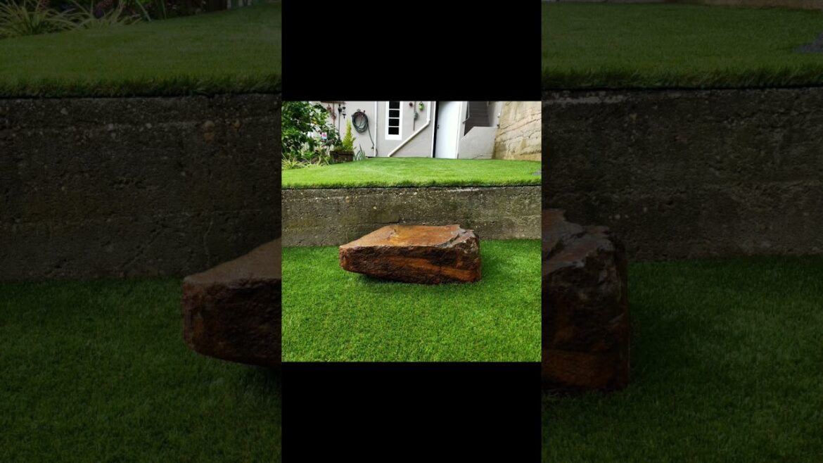 Phenomenal backyard transformation 🌱✅🦏 #shorts #backyard #landscape #hustle #launceston #grass #lawn