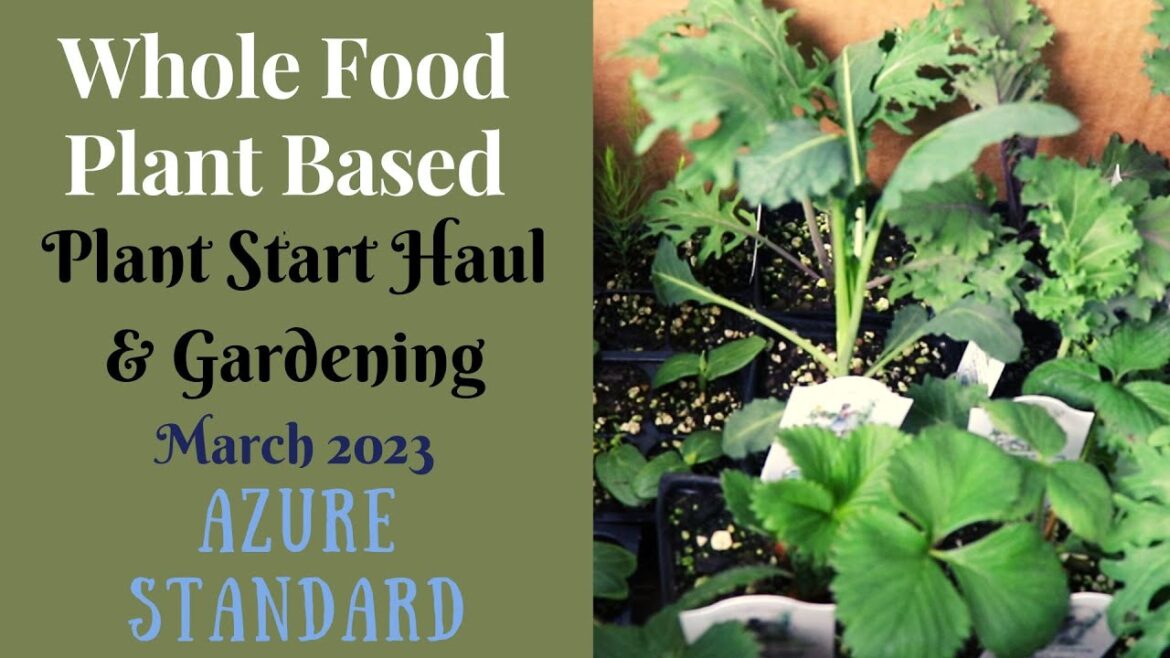 Azure Standard Spring Plant Start Haul, and Gardening With Me Azure Standard Spring Plant Start Haul, and Gardening With Me