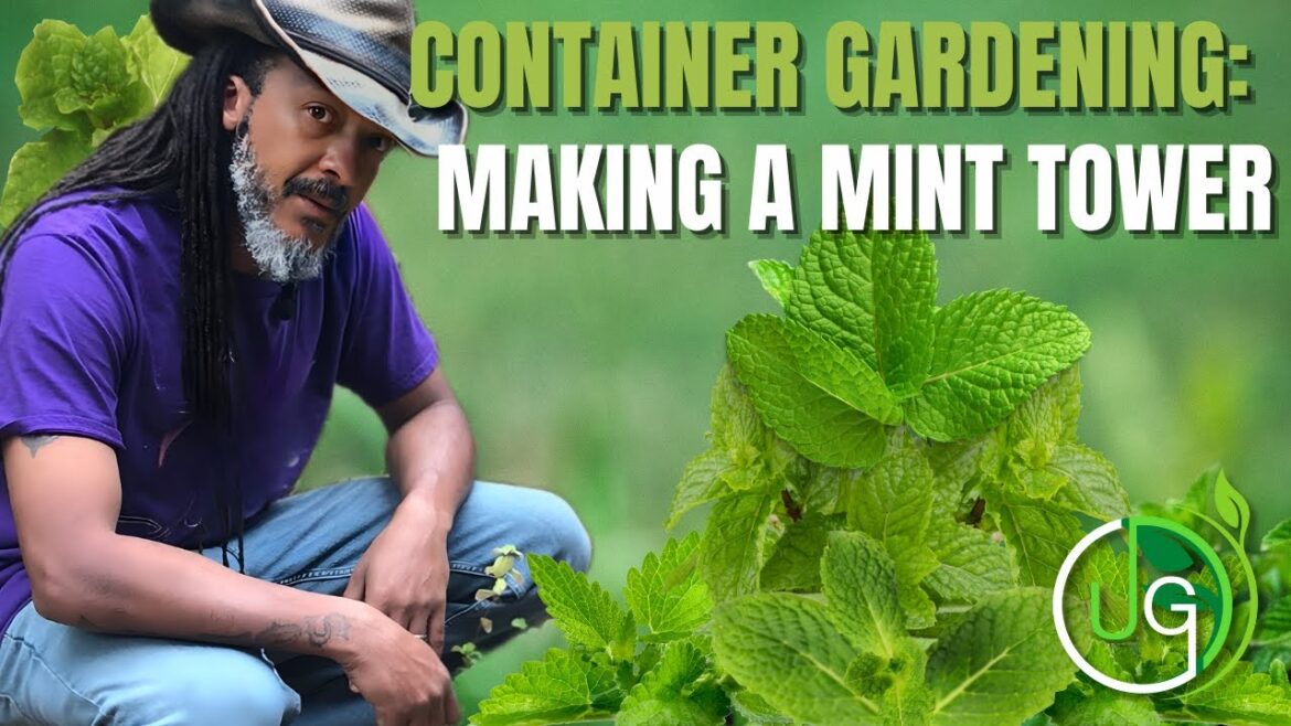 Unleash the Fragrant Power of Mint with our DIY Tower Garden | Urban Gardening with Gray” Unleash the Fragrant Power of Mint with our DIY Tower Garden | Urban Gardening with Gray"