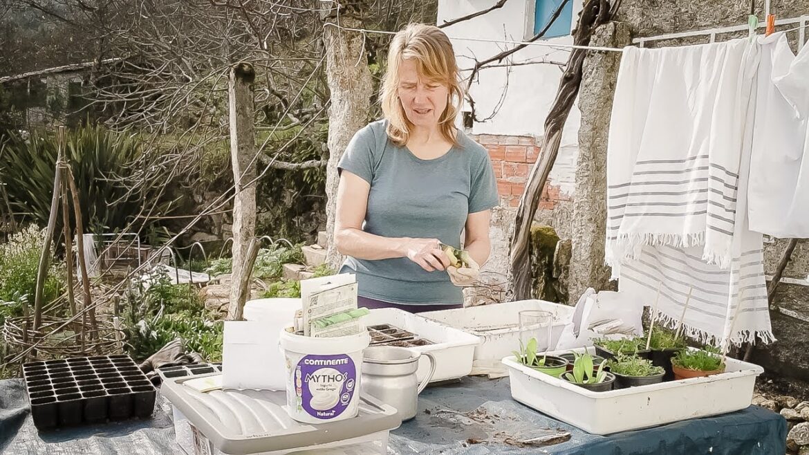 066: Has Spring arrived? Garden plans and sewing seeds it is then! 066: Has Spring arrived? Garden plans and sewing seeds it is then!