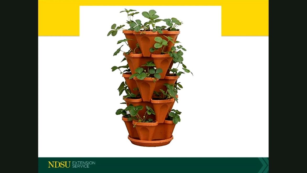Spring Fever 2023 Container Gardening