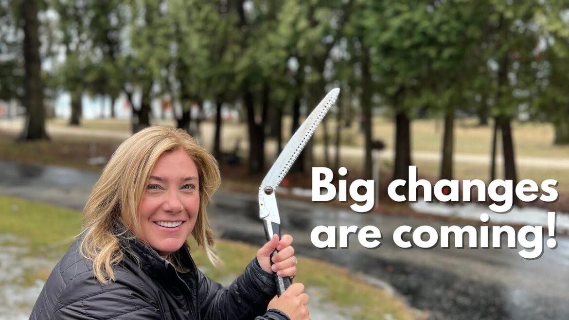 I'm cutting down my neighbors' trees