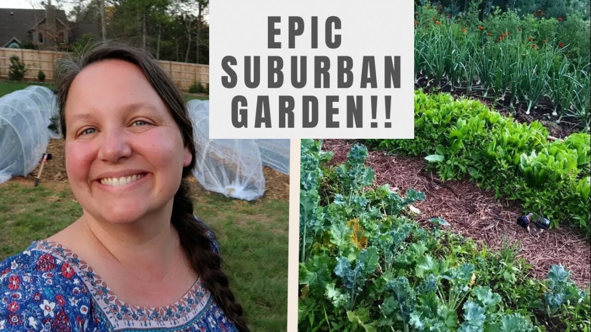 MASSIVE PLANTING DAY in my SUBURBAN GARDEN!