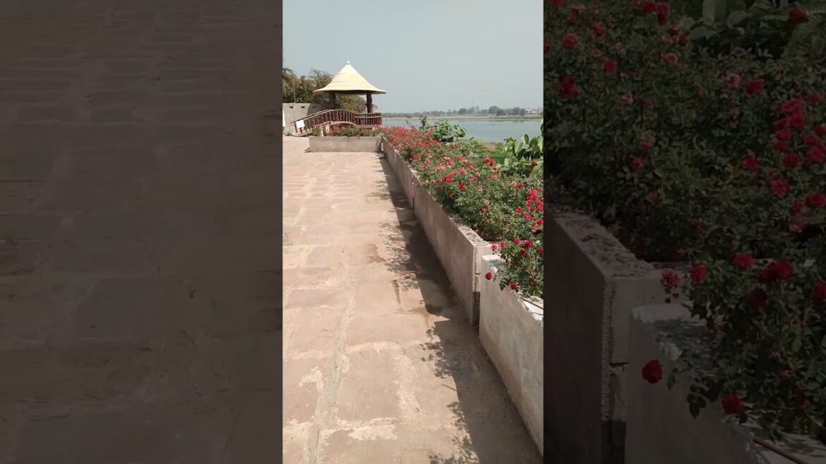 Best landscaping ideas |Ash Garden Ideas| DIY landscape design I #shorts Best landscaping ideas |Ash Garden Ideas| DIY landscape design I #shorts