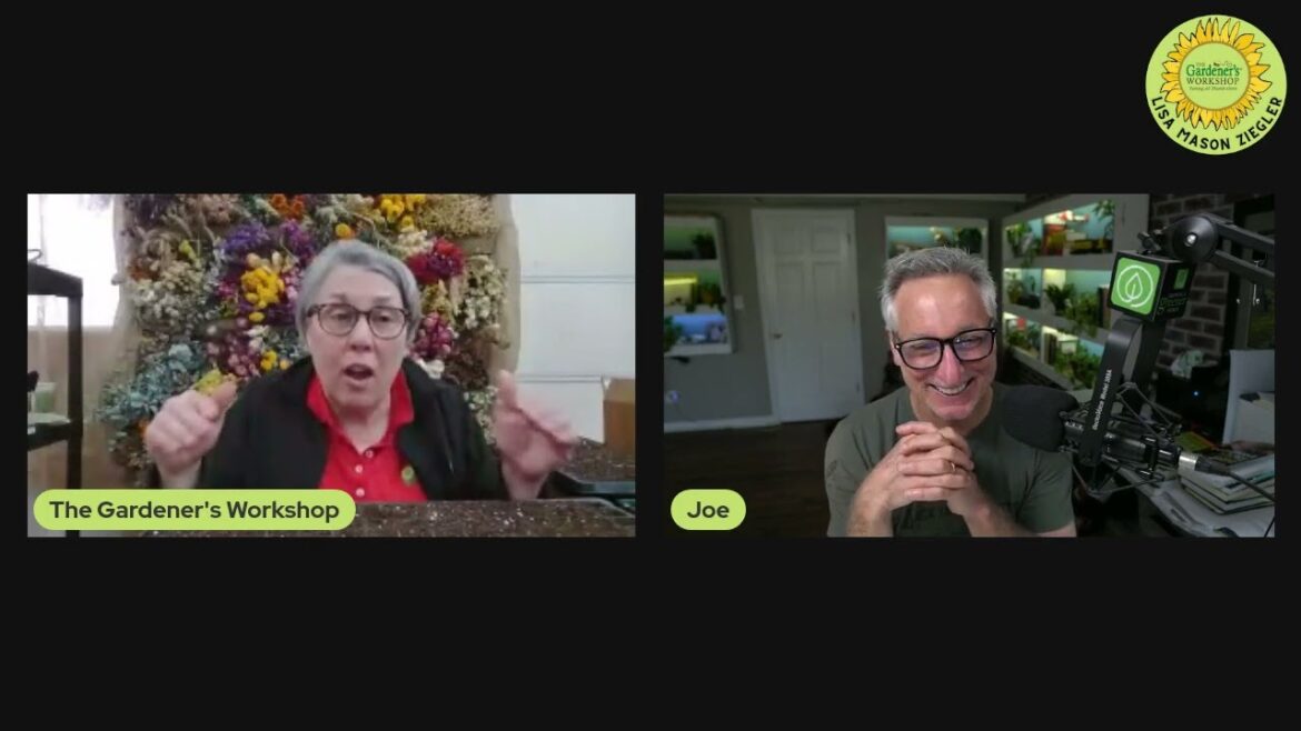 Lisa is joined by her friend Joe Lamp'l - Organic Vegetable Gardening