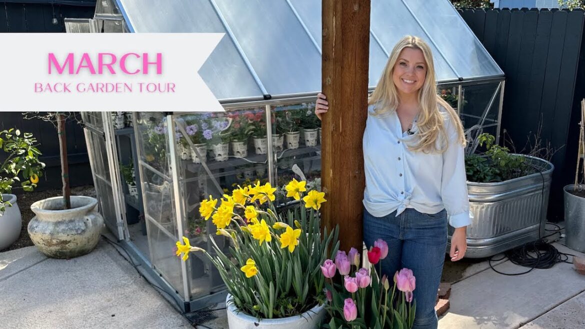March Back Garden Tour! 🌸🌷🌸:: Zone 9b Small Space Garden :: Plus a Few Bunny Cameos (of course!)