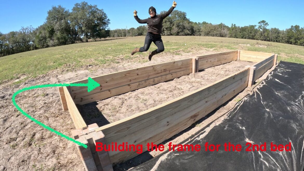 Building the second garden bed frame / Garden Design, Development & Construction #12