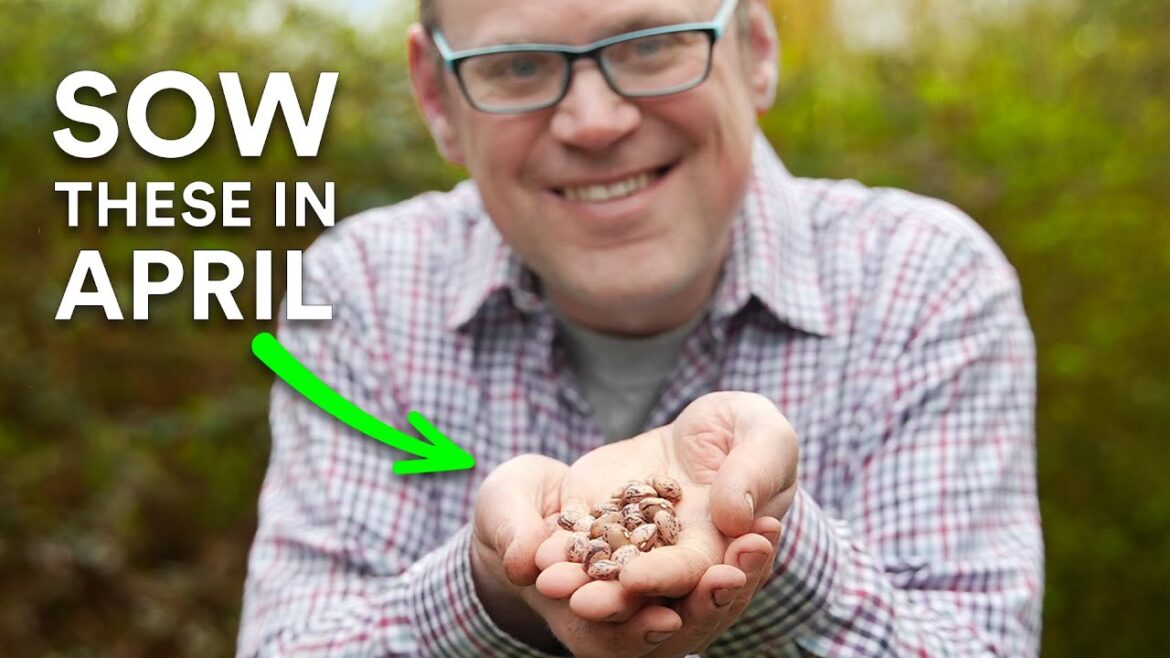 You Must Sow These Seeds in April You Must Sow These Seeds in April
