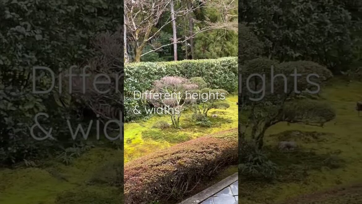 Inspired in Japanese garden (Pieris Japonica) February 17