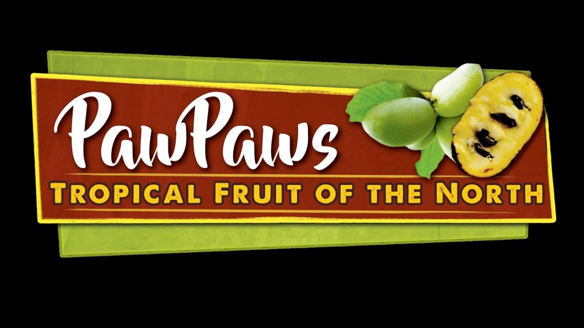 Intro - For The Love Of PawPaws
